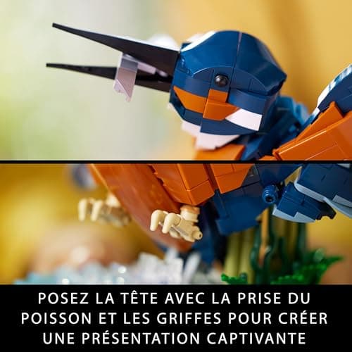 LEGO Icons Le Martin-pêcheur, Modélisme Maquette Adultes pour Les Amoureux de la Nature - Loisir Créatif pour Hommes et Femmes - Idée Cadeau pour Décoration de la Maison ou du Bureau 10331