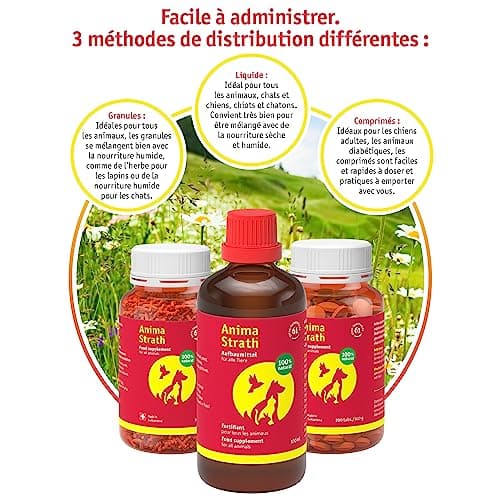 ANIMA-STRATH - Supplément de Levure Végétale - pour Chiens - 61 Micronutriments - Favorise la Santé - Garnitures de Nourriture pour Chiens - Végétarien - Granulés - 100g