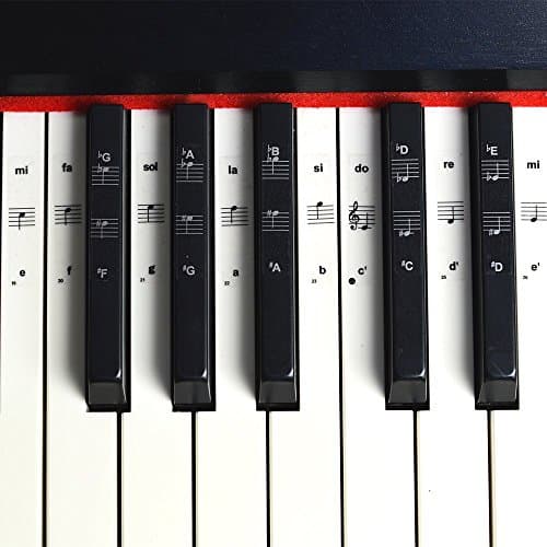 Stickers pour 49/61/76/88 touches, piano et clavier Notes de musique Ensemble de stickers pour les touches de Blanc et Noir, Transparent et amovible, idéal pour enfants et débutants