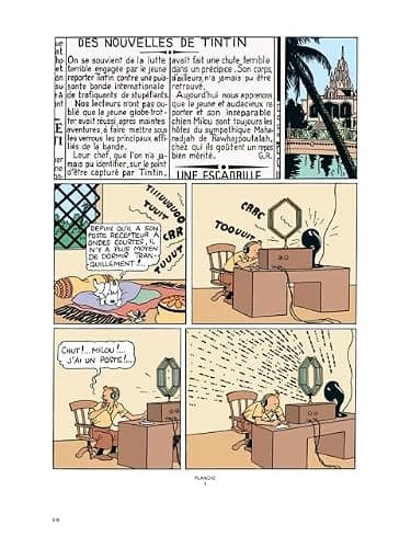 Le Lotus bleu: Édition noir et blanc colorisée