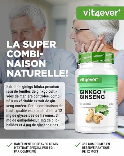 Ginkgo + Ginseng - 365 Comprimés - Extrait Spécial - Hautement Dosé - Ginkgo Biloba + Ginseng Coréen - Qualité Premium - Vegan