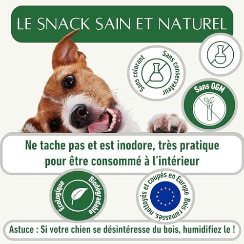 Bois de cerf pour Chien a Macher Entier (1 pièce). Friandise pour Chiots et Chiens de Tout âges. Jouet Occupation. Jouet de Mastication. Soins Dentaire idéal (M)