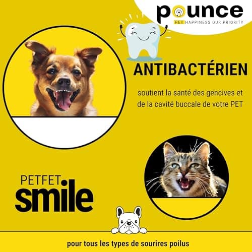 Dentifrice Chien Et Chat Spray 100ml 95% Naturel - Hygiène Buccale Supérieure Sans Rinçage, Effet Anti-Tartre Et Haleine Fraîche, Avec Propolis + Ananas + Menthe, Qualité Italienne
