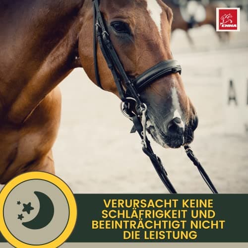 Magnésium Cheval Poudre - Calm Horse Relax Anti-Stress pour Calmer l'agitation I L-tryptophane Vitamine E - Magnésium pour Chevaux à Haute Dose Contre l'anxiété & Stress sérénité Cheval nerveux 1Kg