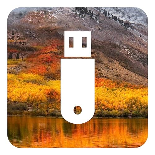 D-S Systems Clé d’Installation Compatible avec macOS 10.13 High Sierra USB OS X (Clé) d'installation Amorçable Récupération Bootable USB - Installation/Update/Downgrade