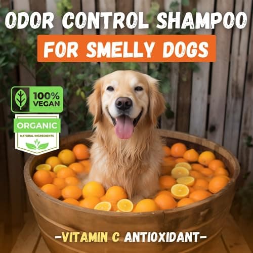 Kelebs Shampoing Chien Solide Naturel pour Anti Perte De Poil | Fortifie Le sous-Poil, pour Poil Long Et Court, À l'huile De Coco Et Beurre De Karité | Bio pour (Anti Odeur)