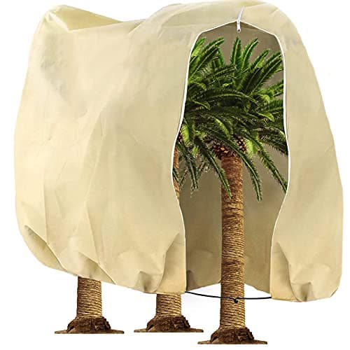 Tesmotor Housse D'hivernage, Housse de Protection pour Plantes, Voile d'hivernage économique Grande Capacité 80g/m2 - 360 x 250CM