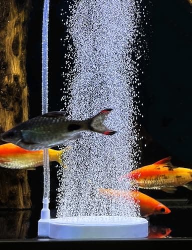 boxtech Pierre à air d'aquarium, Diffuseur d'air pour Aquariophilie, Pierre Air Aquarium d'air Fournir de l'Oxygène aux Poissons dans l'Aquarium (50mm, Pompe à air et Tuyau d'air Non Inclus)