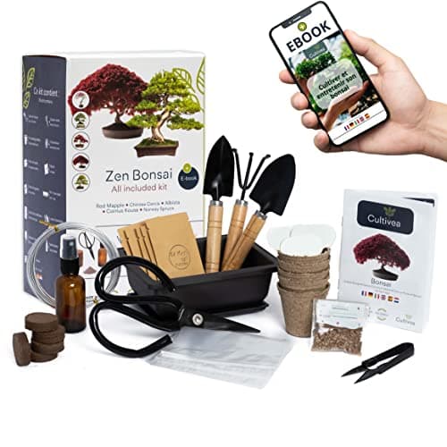 CULTIVEA® Kit Bonsaï Premium Prêt à Pousser - Jardinez et décorez - Entretien de vos bonsaïs et plantes naturel - Fil, Outils, Ciseaux Ronds, Petits Ciseaux Bonsai - Idée Cadeau Original