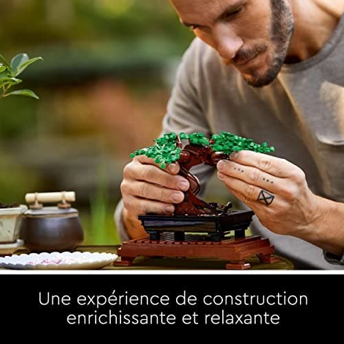 LEGO 10281 Icons Bonsaï, Projet de bricolage pour adultes, arbre pour la maison, collection botanique
