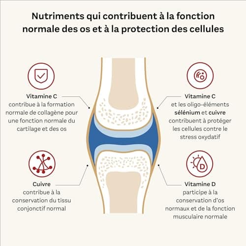 Doppelherz, Kollagen 11000 Plus, Hydrolysat de collagène et Vitamines C, D et minéraux, Pour les os, cartilages et muscles, Goût fruits des bois, 30 flacons de 25ml