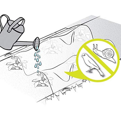 TENAX Ortoclima Plus 2,40x10 m Blanc, Voile d'Hivernage pour Plantes et Cultures, en Tissu Non Tissé 30 g/m2, Protège les Plantes, Fleurs et Légumes du Froid, du Gel et du Vent