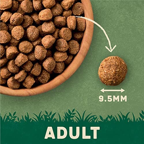Harringtons Aliment Complet Riche en Agneau/Riz pour Chien 15 kg