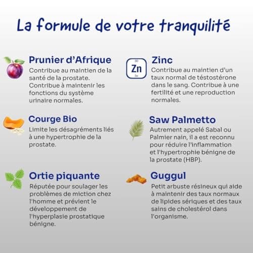 PROSTAPÉPÈRE Santé de la Prostate et Confort urinaire - Saw Palmetto, Prunier d'Afrique, Ortie piquante, Extrait de Courge, Zinc - 100% Naturel - 60 gélules vegan.