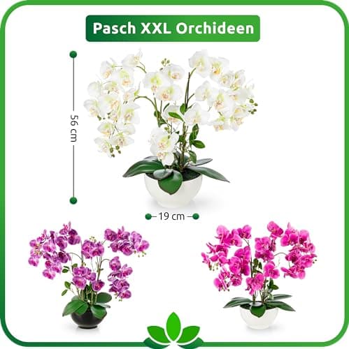 PASCH® Orchidée artificielle XXL grande (56 cm) dans un pot en céramique brillante | Orchidées artificielles comme de vraies | Orchidées artificielles en pot | Fleurs artificielles en pot | Fleurs