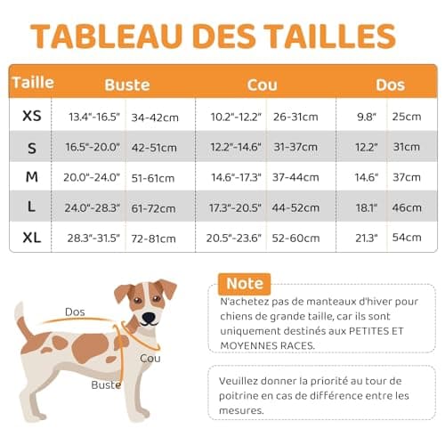 Queenmore Manteau Chien Petite Taille Manteau pour Chien Hiver Manteaux Chaud Imperméables pour Chiens Polaire Manteaux d'hiver pour Chiens Vetement Chien Chat Teckel Chihuahua, Vert, XS
