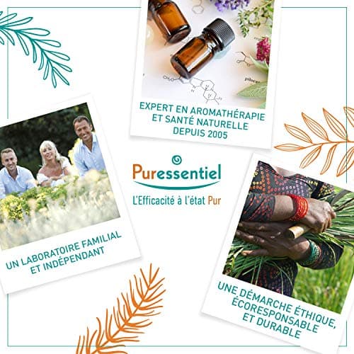 Puressentiel - Spray Nasal Décongestionnant aux Huiles Essentielles Propolis et Echinacée Bio - Pour nez bouché, irrité et qui coule - Rhume - Eau de mer -15ml