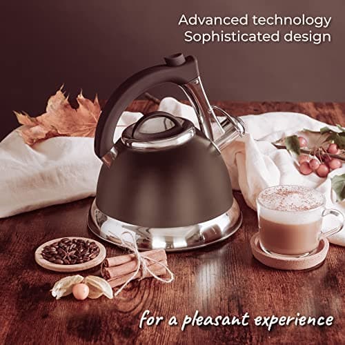 Bouilloire sifflante avec poignée iCool, théière chirurgicale en acier inoxydable pour toutes les cuisinières, 2 infuseurs GRATUITS inclus, 3 litres par Pykal (Noir)