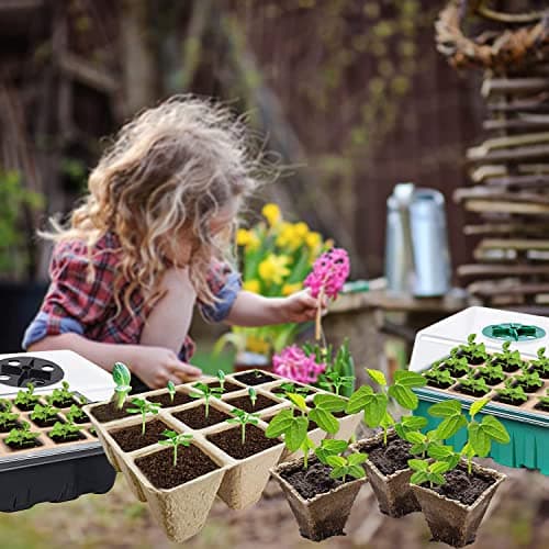 10 Pièces Mini Serre pour Plantes,120 Trous Bac à Semis Biodegradable Pot,Boîte de Culture avec Couvercle et Ventilation Durables,Plateaux de semis Kit de démarrage,Plateau de Semis Hydratant
