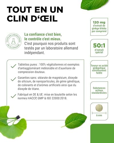 Ginkgo Biloba 6000 mg - 365 Comprimés - Premium : Avec glycosides de flavone + ginkgolide terpène lactones & acide ginkgolique libre - Sans additifs indésirables - Hautement dosé - Végétalien