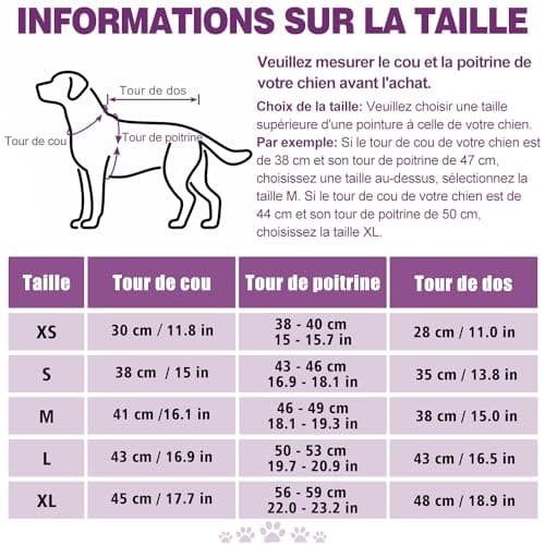 PETLOFT Manteau Chien Hiver, Imperméable Réfléchissant Coupe en Plein Air Polaire Veste Manteau de Pluie pour avec Doublure en Molleton Détachable