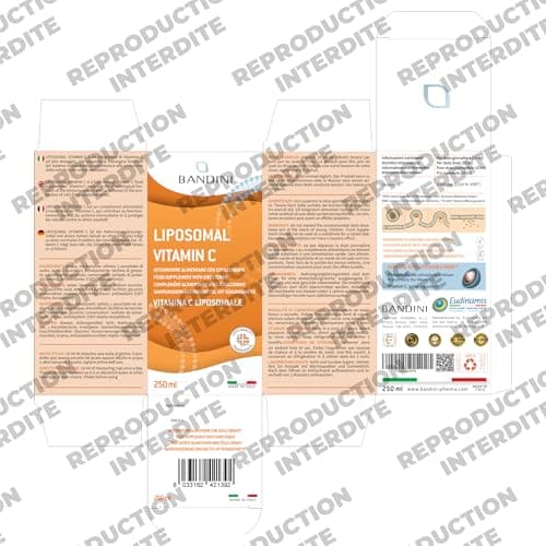 Bandini® Vitamine C Liposomale 1000 mg - Complément Liquide 250 ml - Dosage Puissant et Absorption Maximale - Système Immunitaire & Fatigue - 100% Vit C Acide Ascorbique Biodisponible - Vegan, Non-GMO