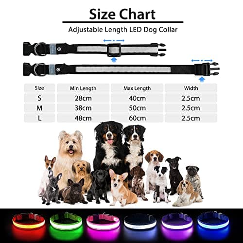 PcEoTllar Collier Lumineux Chien, Collier Chien LED Rechargeable et Etanche Clignotant, Collier Chien Fluorescent avec 7 Couleurs, Sécurité avec Réglable pour Petits Moyens Gros Chiens, Orange-M