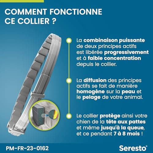 Seresto Collier Grands Chiens – Collier anti puces et anti tiques pour grands chiens de plus de 8 kg – Collier Seresto pour chien 7 à 8 mois de protection, réduit le risque de leishmaniose – Gris