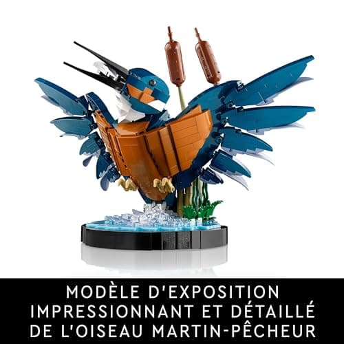 LEGO Icons Le Martin-pêcheur, Modélisme Maquette Adultes pour Les Amoureux de la Nature - Loisir Créatif pour Hommes et Femmes - Idée Cadeau pour Décoration de la Maison ou du Bureau 10331