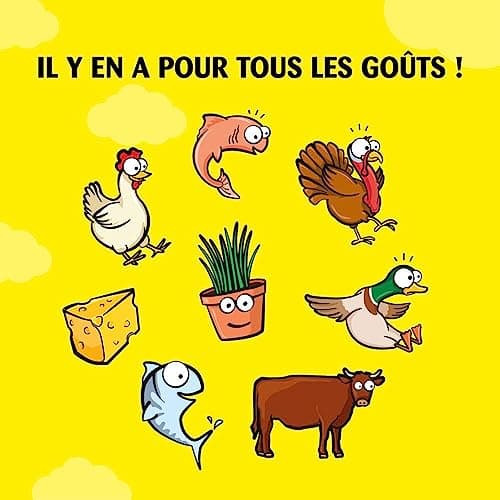 Catisfactions Friandises pour Chat – Saveur Herbe à Chat – Récompenses pour Chats Adultes et Chatons – 60 g (Lot de 6)