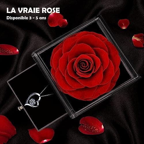 boîte de Rose eternelle avec Bijoux Argent 925,Collier Femme,Pendentif Coeur avec Rose Conservée et Stabilisée Rouge,Cadeau pour Elle la Noël,La Saint-Valentin,Fête des mères,Anniversaire