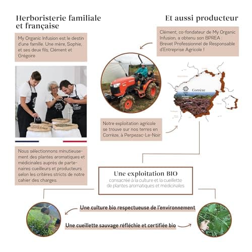MY ORGANIC INFUSION - Badiane Bio (Anis Étoilé) En Fruits Entiers - Pour Tisanes Et Infusions - Pour Recettes Maisons - Sélection De Premier Choix - Illicium Verum - 50g