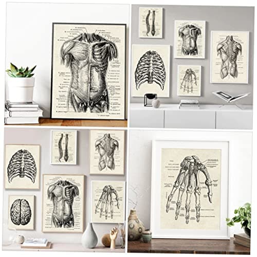 JEWEDECO 6 Pièces Anatomie Humaine Anatomique Posters Affiche D'anatomie D'apprentissage Tableau D'anatomie Apprentissage De La Planche Anatomique Tableau Anatomique Humain Black Papier