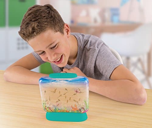 Aqua Dragons Sea Friends Colour Adventure,Jouet éducatif STEM, Aquarium Set, Grow Easy Pet for Kids,Comprend un réservoir, de nourriture, des œufs, une cuillère pour nourrir l'animal,Couleur surprise