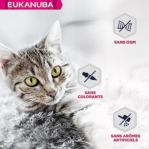 EUKANUBA Grain Free pour Chaton - Pâtée Premium SANS CEREALES – Sans gluten – Faible teneur en graisses - Riche en Agneau et enrichie en Taurine – 12 barquettes aluminium de 85 g