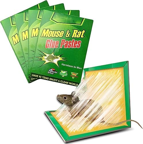 Piege a Souris, Piege a Rat,Colle Souris Piege Attrape Souris Anti Souris Plaques Collantes Souris, Plaques de glu Anti Souris Anti Rat (5pcs)