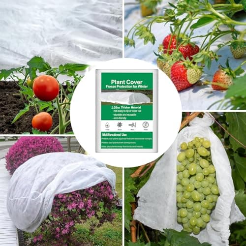 Trlyane Voile d'Hivernage pour Plantes Exterieur 2m x 5m, Non-tissée de Protection Hivernale, en Tissu Non Tissé 30 g/m2, Protège Les Plantes, Fleurs et Légumes du Froid, du Gel et du Vent
