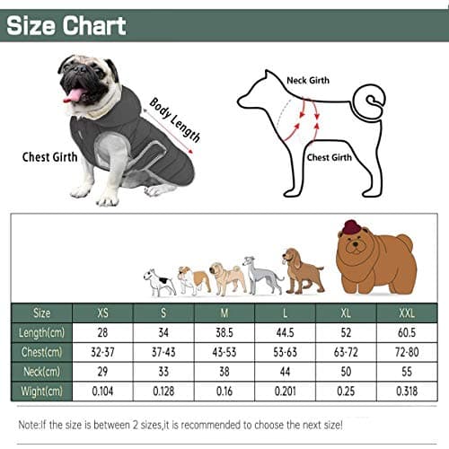 Etechydra Manteau Chien Veste Gilet Chaud de avec Chapeau Détachable, Confortable d'hiver Imperméable Vêtement Chien Doublure en Polaire Chaude Hiver-Coat Manteaux, Black Gris XS.
