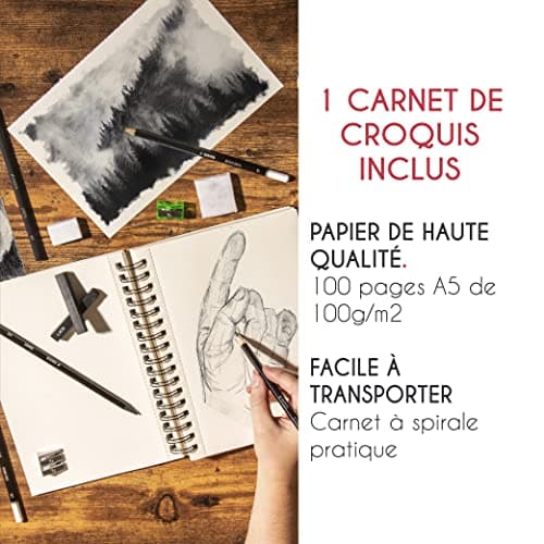 Kit de Dessin Complet - Debutant ou Professionnel - 19 accessoires : 8 Crayon Papier, 3 Crayons Charbon, 1 Graphite, 3 Bâtons Charbon, Carnet de Dessin 100 Pages - Cadeau Artistes Tous Niveaux