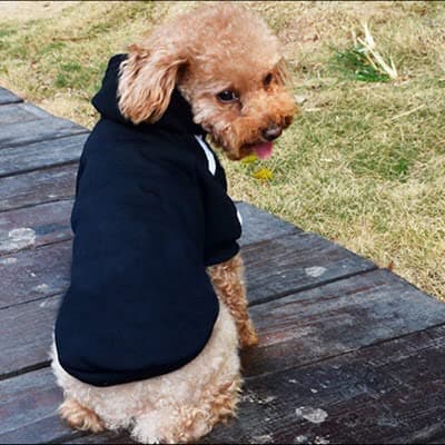 Ducomi Sweat à Capuche pour Chien 100% Coton - Manteau pour Petit, Moyen et Grand Chiens, Chihuahua, Bouledogue Français, Labrador, Pitbull et Amstaff, Pull Confortable (Noir, 2XL)