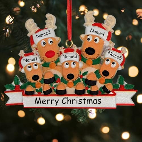 WERWAES Decoration Noel Sapin Personnalisable Boule de Noel Personnalisée 2024 Decorations Noel Famille 2,3,4,5,6,7,8 Idee Cadeau Noel