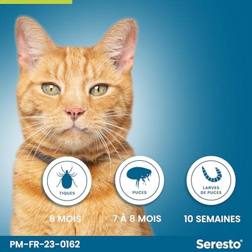 Seresto Collier Chats – Collier anti puces et anti tiques pour chat – Collier Seresto pour chat avec protection longue durée de 7 à 8 mois – Gris