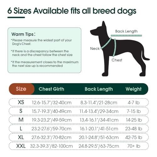 Kuoser Combinaison de Récupération Chirurgicale pour Chiens et Chats, Anti-Léchage Chiot Chemise de Récupération pour Plaies Abdominales, Col en E Alternative pour Petite Moyenne Grande Chien