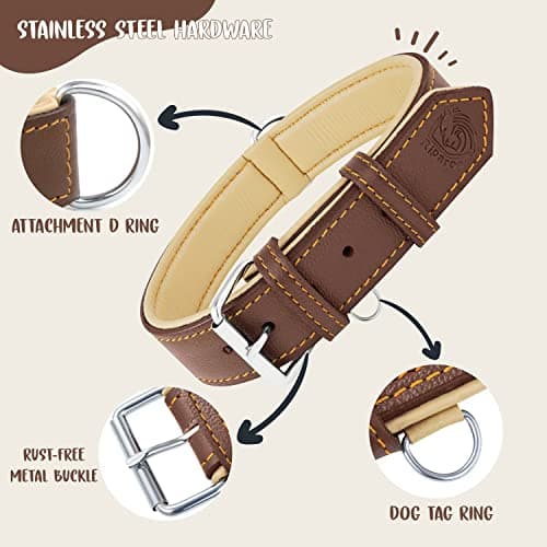 Riparo Collier pour Chien en Cuir véritable (Marron, L: 3,8 cm de Large pour 45,7 cm - 53,3 cm de Cou)