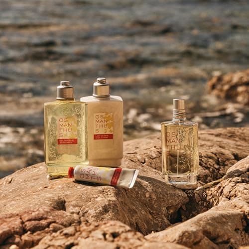 L'OCCITANE - Lait Corps Osmanthus - 250 ml - Fabriqué en France