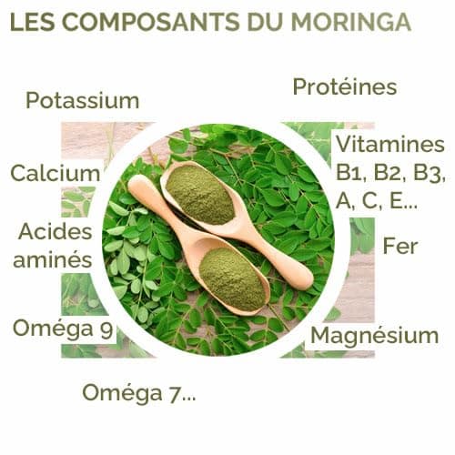 Herbes du Monde - Moringa BIO de qualité supérieur - Moringa oleifera Organic - Complément alimentaire en poudre Riche en Vitamine C - Nutrition Naturelle - 1 sachet de 100g Certifiée AB