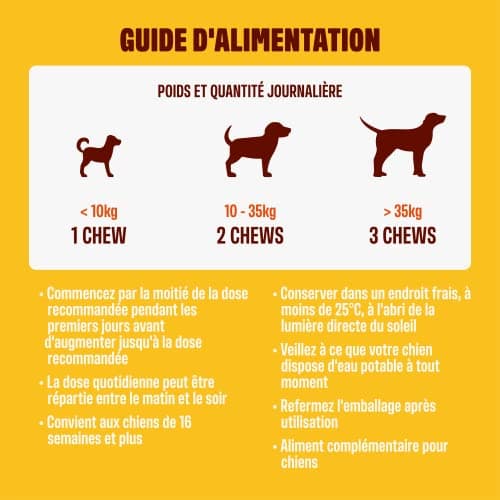 ivvi - Skin & Coat - Complément Alimentaire pour Chien, Anti-Démangeaisons, Fourrure Douce et Brillante - Oméga 3, Huile de Saumon, DHAgold, Vitamines C, E et Zinc - 60 Friandises au Saumon