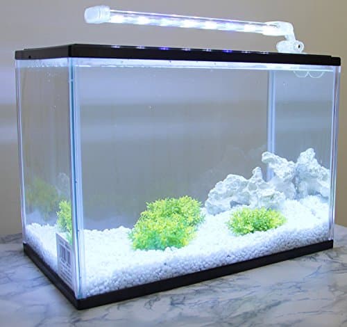 BPS Lampe d'aquarium LED submersible pour plantes lumière blanche et bleue 8W