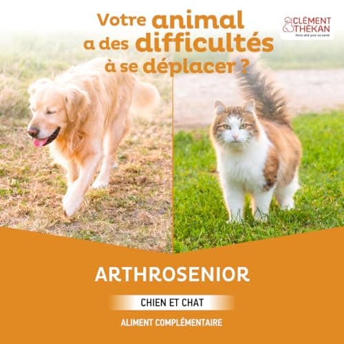 Clément Thékan Arthrosenior Grand Format - Aide à la mobilité articulaire chez le chien et le chat - Stimule la régénération du cartilage - 90 comprimés sécables aromatisés