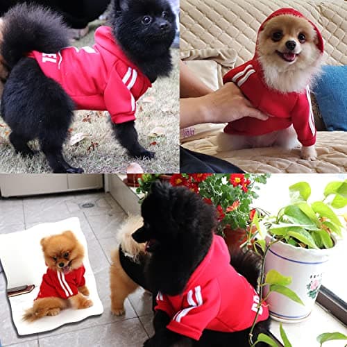QiCheng & LYS Manteau Chiot Polaire, Manteau Chien, Chihuahua Pull,Vêtements Chien Chihuahua,Manteau Hiver pour Chien (Rouge, Large)